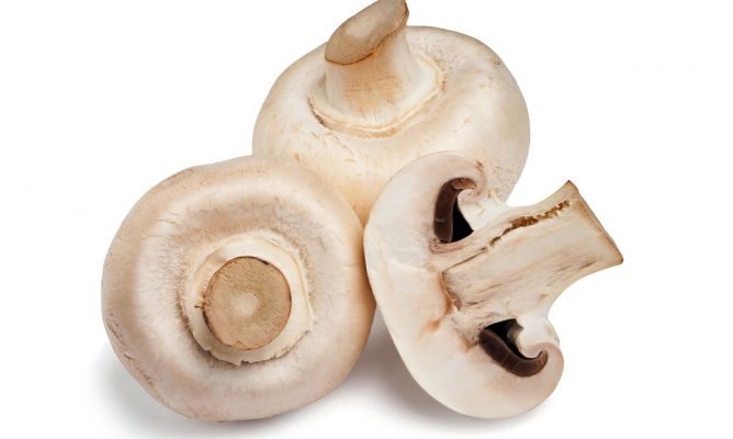champiñon para el provolone